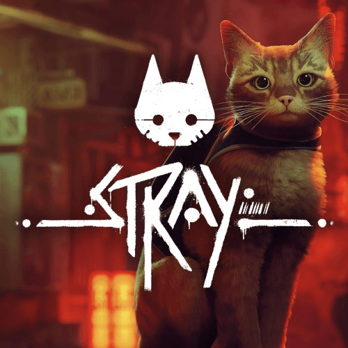 Carátula de Stray para Nintendo